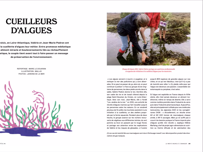 Article Jour de fête